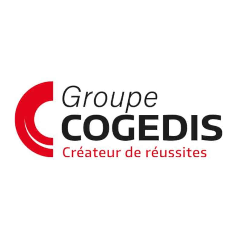 Logo Groupe COGEDIS Maxime Tarcher conférencier mémoire professionnel séminaire entreprise psychologue
