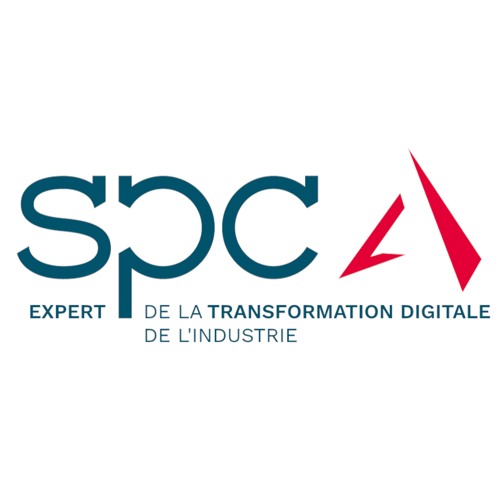 Groupe SPC Consultants Conférence Lyon Maxime Tarcher mémoire psychologue conférencier professionnel